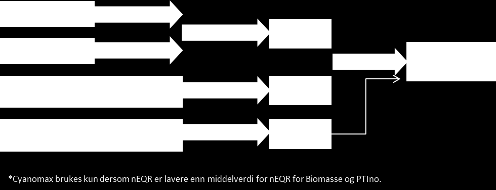 Figur V2-1. Klorofyll a, totalt volum og PTI normaliseres og gjennomsnittet benyttes for å beregne en NEQR for planteplanton.