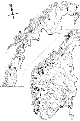 Overvåking av rømt oppdrettsfisk Gausen, D., and Moen, V. 1991.