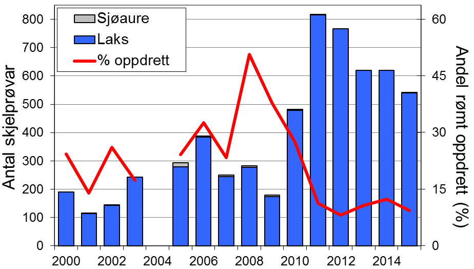 Skjel 2015 FANGST OG SKJELPRØVAR I SULDALSLÅGEN Fangststatistikk Gjennomsnittleg årsfangst av laks i perioden 1969-2015 var 516 (snittvekt 5,1 kg).