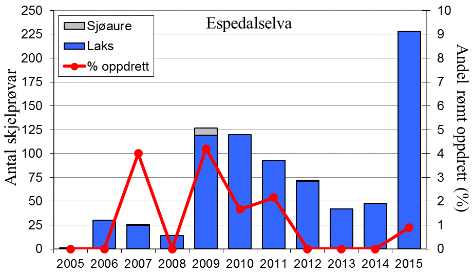 Skjel 2015 FANGST OG SKJELPRØVAR I ESPEDALSELVA Fangststatistikk Gjennomsnittleg årsfangst av laks i perioden 1988-2015 var 382 (snittvekt 3,8 kg).