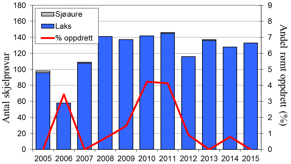 Skjel 2015 Fangststatistikk FANGST OG SKJELPRØVAR I OGNA Gjennomsnittleg årsfangst av laks i perioden 1985-2015 var 1931 (snittvekt 2,2 kg).