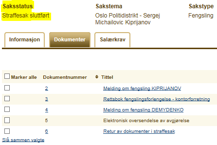 Straffesaker Aktørportalen var ment for bruk i sivile saker, men straffesakene er også tilgjengelige (ENE og MED) for salærinnsending.