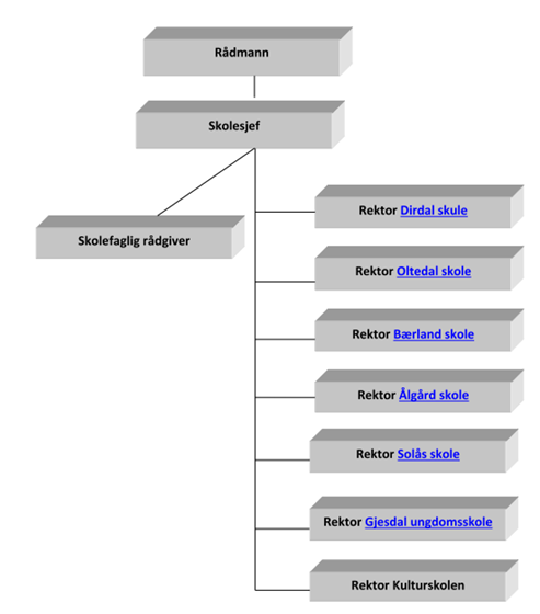 2 FAKTABESKRIVELSE OG VURDERINGER 2.1.1 ORGANISERING Tjenesteområdet opplæring er i Gjesdal kommune organisert med rådmann som øverste leder for administrasjonen.