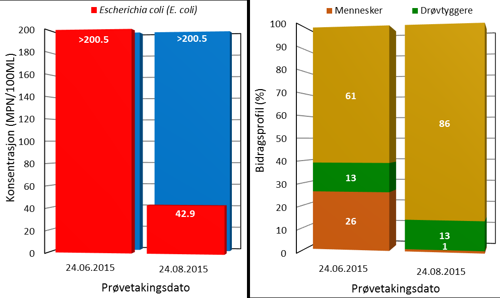 Figur 23. Konsentrasjoner av koliforme bakterier og Escherichia coli (E. coli) i vannprøvene fra lokaliteten B7 ved Birkelandsvatnet. Figur 24.