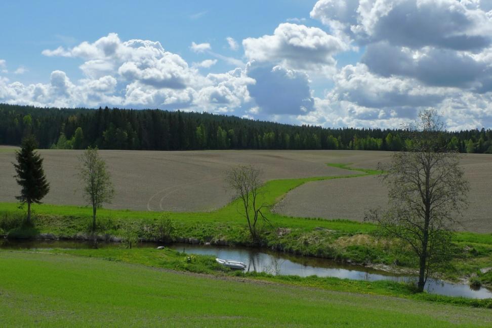 Vegetasjonssoner Stor variasjon i effekt fra år til år