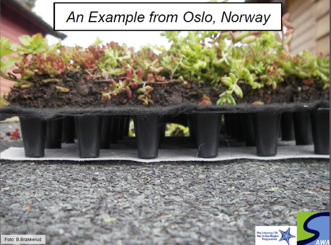 I eit prosjekt frå Oslo er det sett eit lag med jord og planter på delar av eit tak og studert avrenninga frå den delen med og den delen utan plantar, som vist i Figur 5.