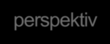 NAV-perspektiv Forutsetter at relasjonene mellom interessentene er dyadiske og at den enkelte bedrift inngår kontrakter med hver enkelt interessent (Jones 1995)