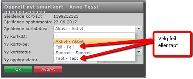 Under Gjeldende kortstatus er det kortet som er mistet eller feil på som skal