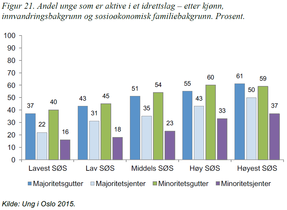 Økonomi som barriere for innvandrarar / barn av innvandrarar Figur