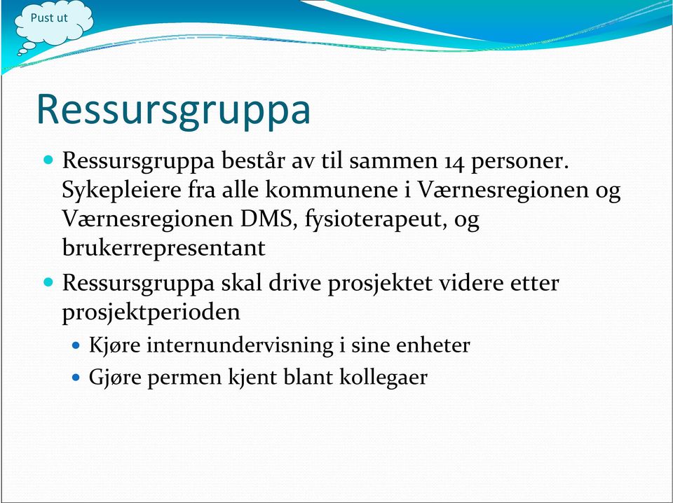 fysioterapeut, og brukerrepresentant Ressursgruppa skal drive prosjektet