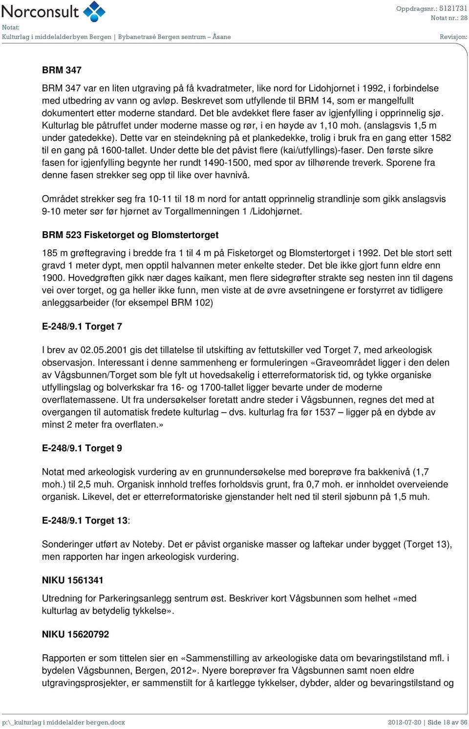 Kulturlag ble påtruffet under moderne masse og rør, i en høyde av 1,10 moh. (anslagsvis 1,5 m under gatedekke).