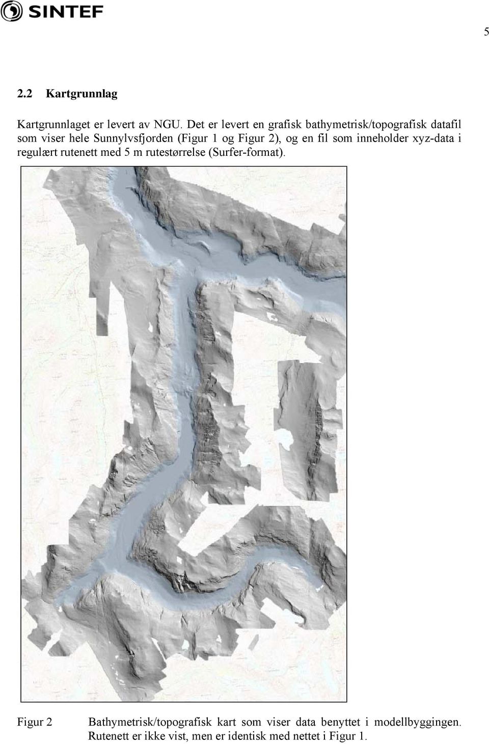 og Figur 2), og en fil som inneholder xyz-data i regulært rutenett med 5 m rutestørrelse