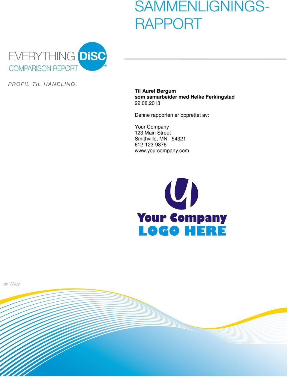 2013 Denne rapporten er opprettet av: Your Company 123 Main