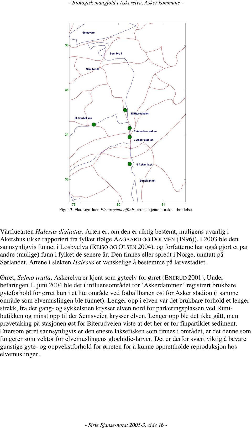 Arten er, om den er riktig bestemt, muligens uvanlig i Akershus (ikke rapportert fra fylket ifølge AAGAARD OG DOLMEN (1996)).