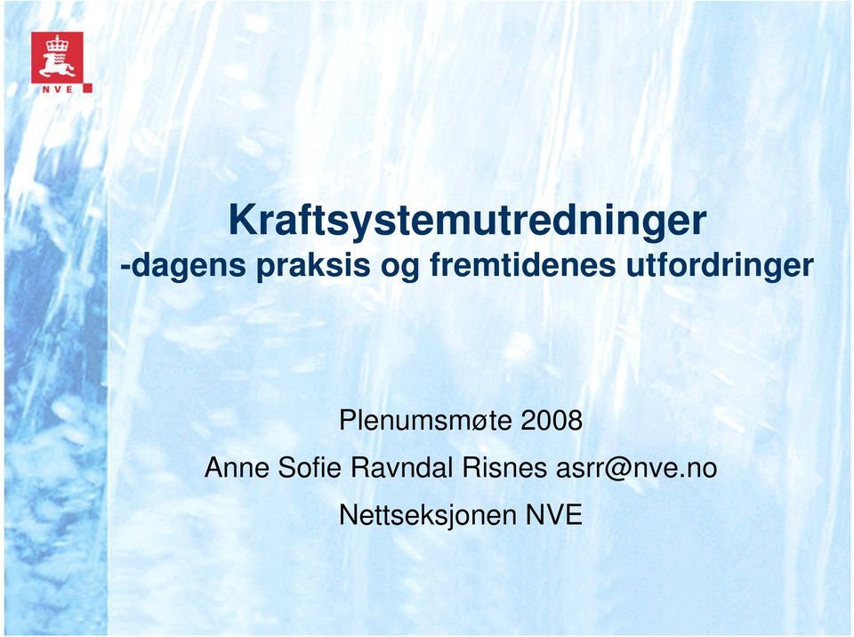 utfordringer Plenumsmøte 2008 Anne