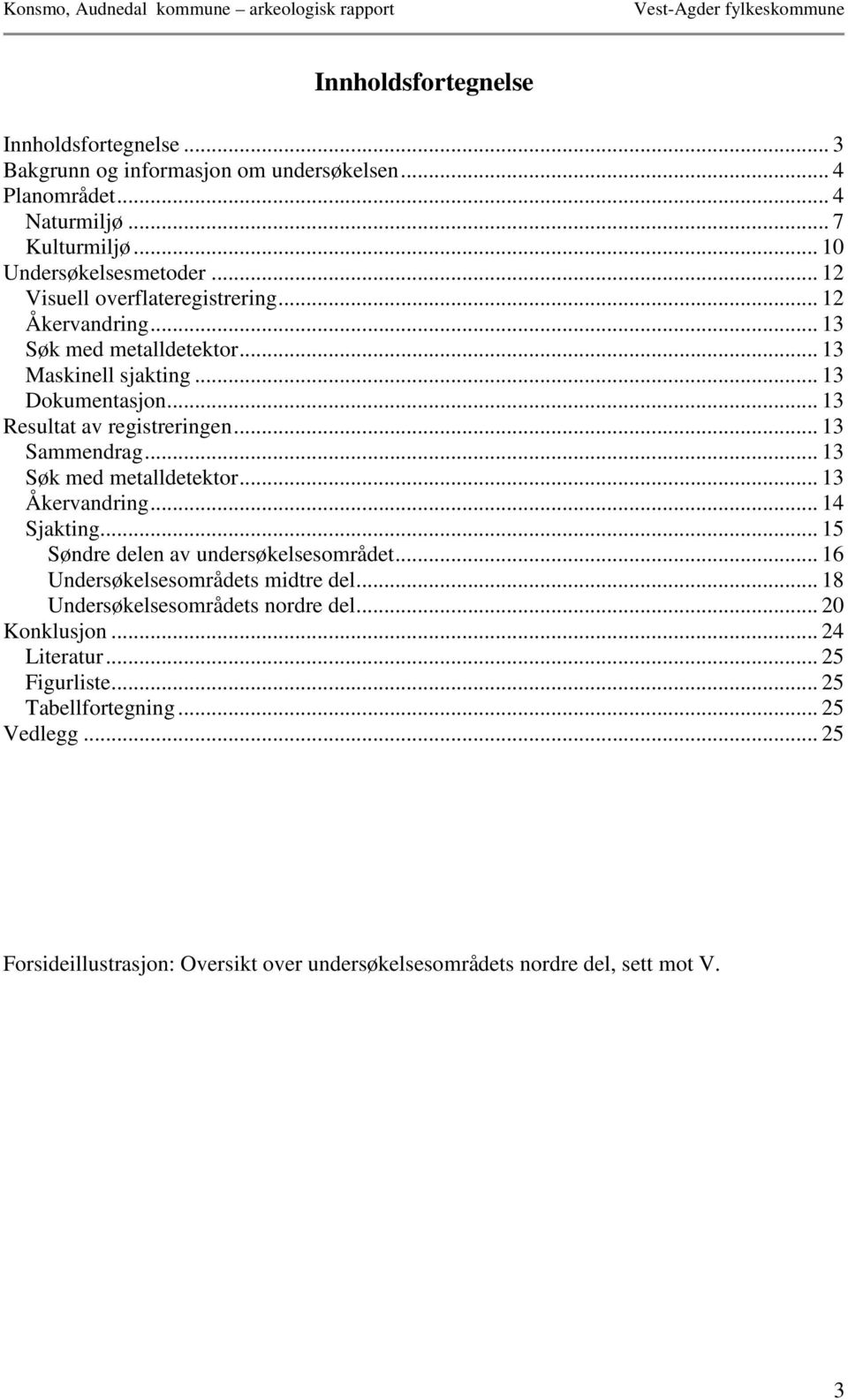 .. 13 Sammendrag... 13 Søk med metalldetektor... 13 Åkervandring... 14 Sjakting... 15 Søndre delen av undersøkelsesområdet... 16 Undersøkelsesområdets midtre del.