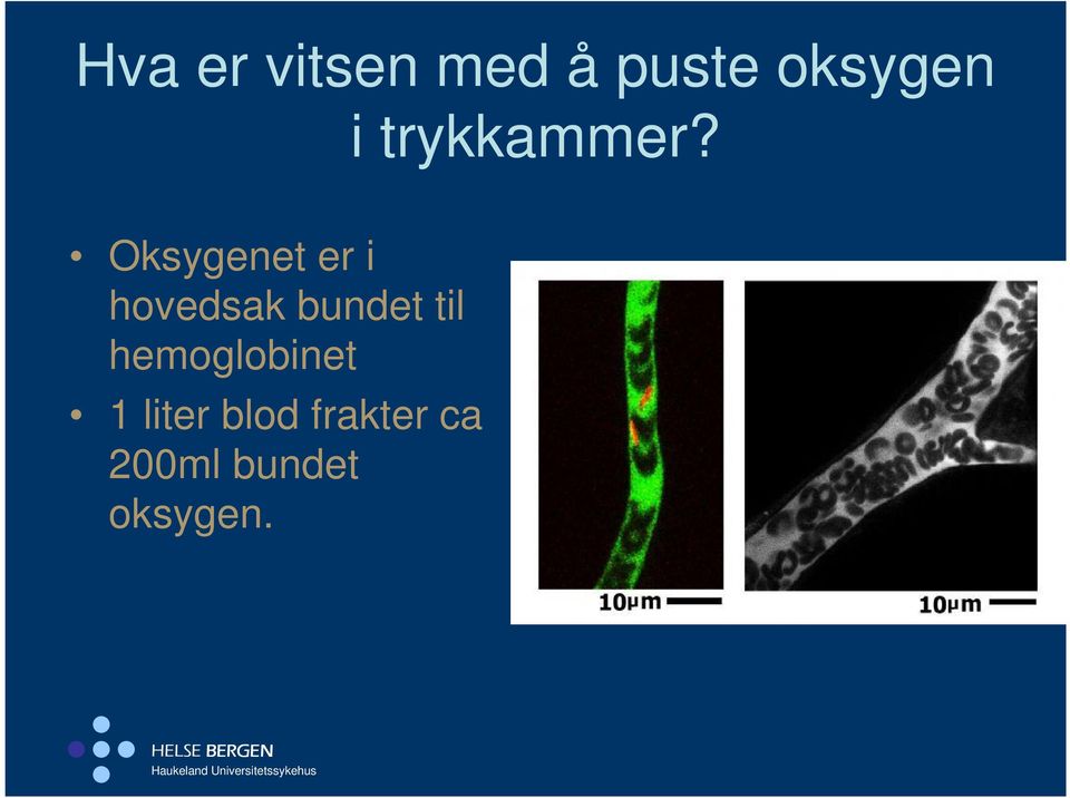 Oksygenet er i hovedsak bundet til