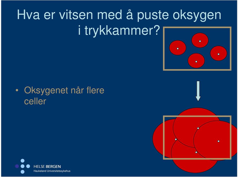 trykkammer?