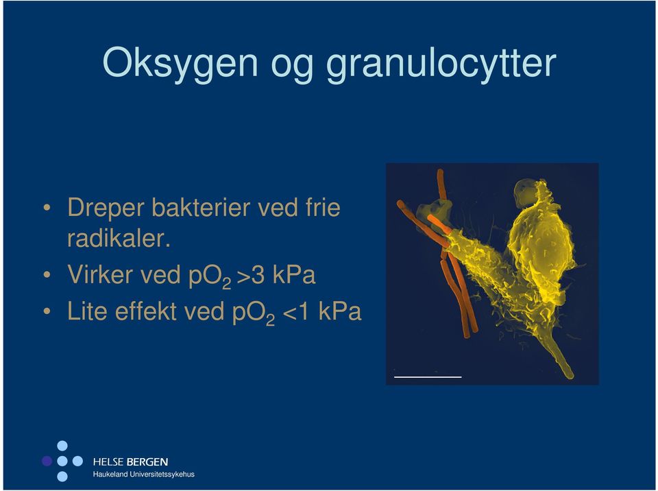 radikaler.