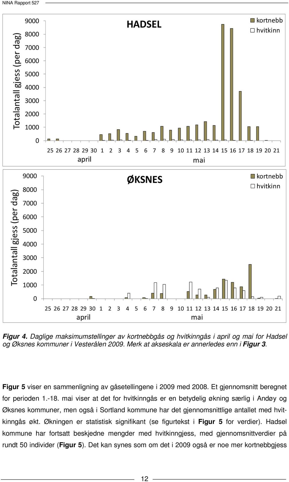 Daglige maksimumstellinger av kortnebbgås og hvitkinngås i april og mai for Hadsel og Øksnes kommuner i Vesterålen 2009. Merk at akseskala er annerledes enn i Figur 3.