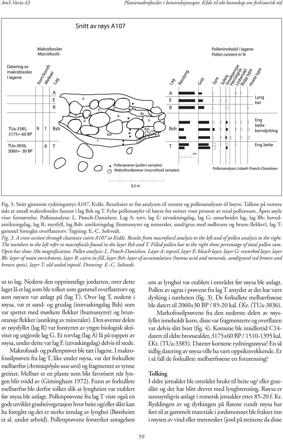 Fylte pollensøyler til høyre for snittet viser prosent av total pollensum. Åpen søyle viser forstørrelse. Pollenanalyse: L. Prøsch-Danielsen.