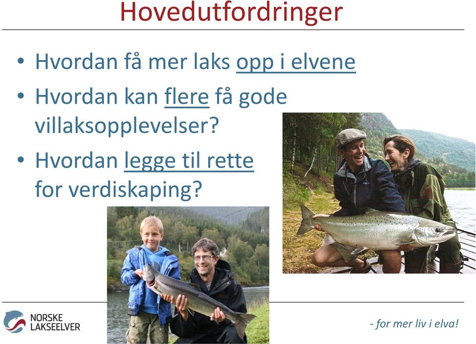 flerefå gode villaksopplevelser?