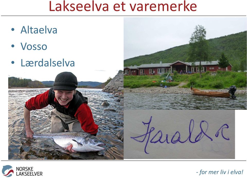 Lærdalselva