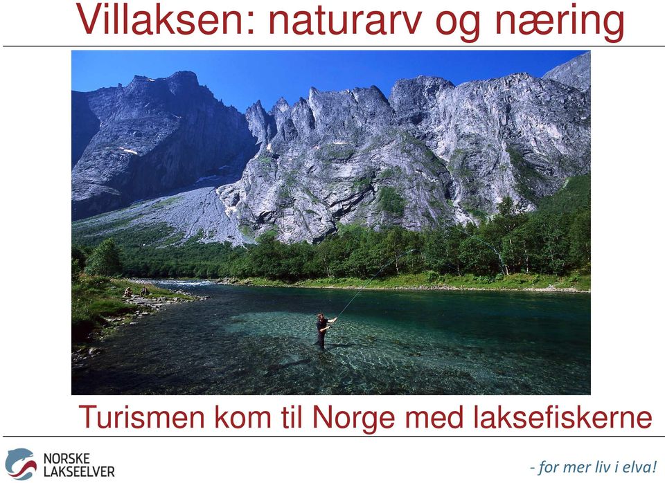 næring Turismen