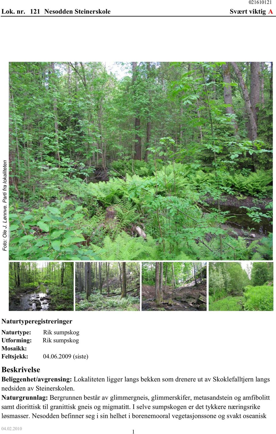 2009 (siste) Beskrivelse Beliggenhet/avgrensing: Lokaliteten ligger langs bekken som drenere ut av Skoklefalltjern langs nedsiden av Steinerskolen.