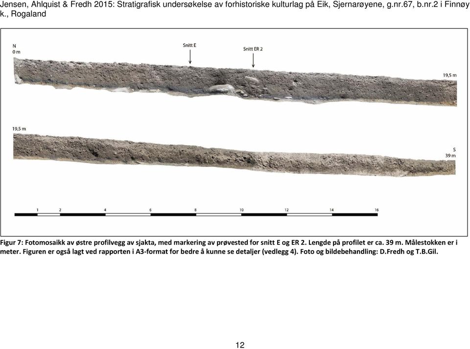 prøvested for snitt E og ER 2. Lengde på profilet er ca. 39 m. Målestokken er i meter.