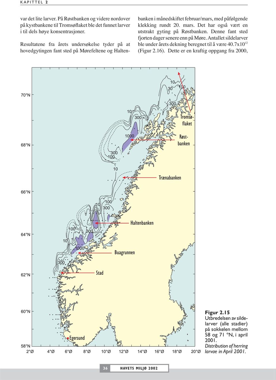 Det har også vært en utstrakt gyting på Røstbanken. Denne fant sted fjorten dager senere enn på Møre. Antallet sildelarver ble under årets dekning beregnet til å være 4.