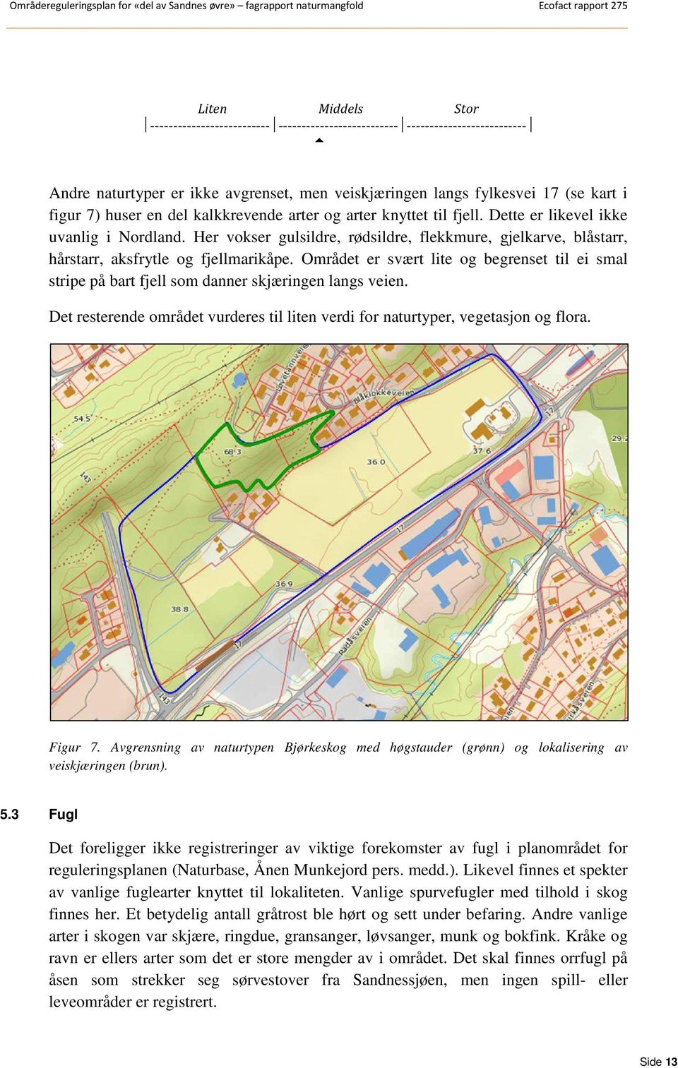 Området er svært lite og begrenset til ei smal stripe på bart fjell som danner skjæringen langs veien. Det resterende området vurderes til liten verdi for naturtyper, vegetasjon og flora. Figur 7.