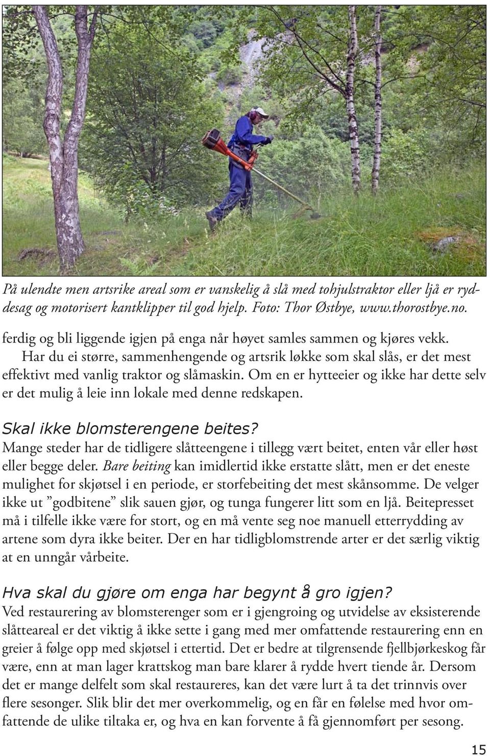 Om en er hytteeier og ikke har dette selv er det mulig å leie inn lokale med denne redskapen. Skal ikke blomsterengene beites?