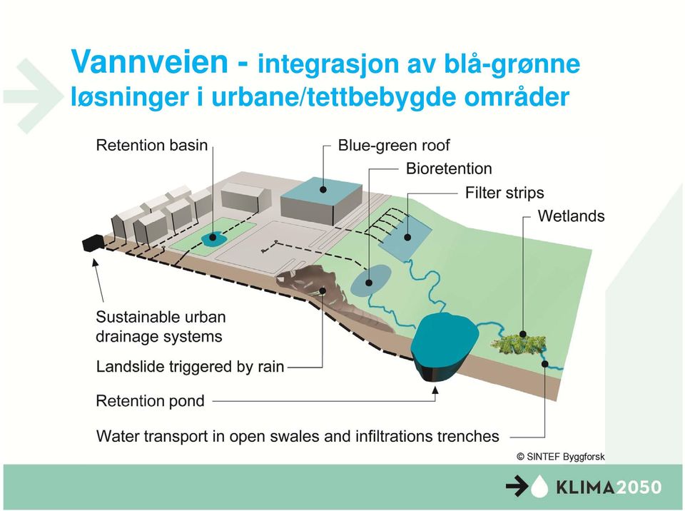 blå-grønne