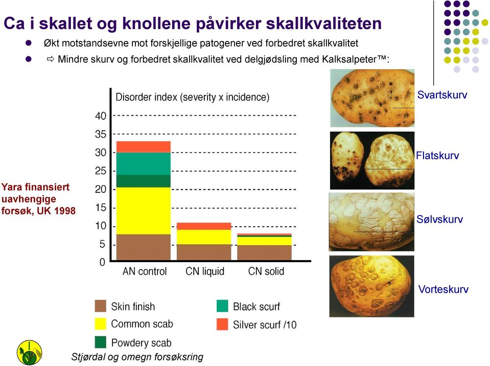 forbedret skallkvalitet ved delgjødsling med Kalksalpeter : Svartskurv