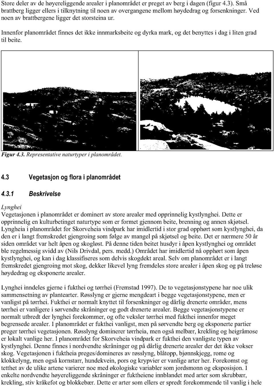 Representative naturtyper i planområdet. 4.3 Vegetasjon og flora i planområdet 4.3.1 Beskrivelse Lynghei Vegetasjonen i planområdet er dominert av store arealer med opprinnelig kystlynghei.