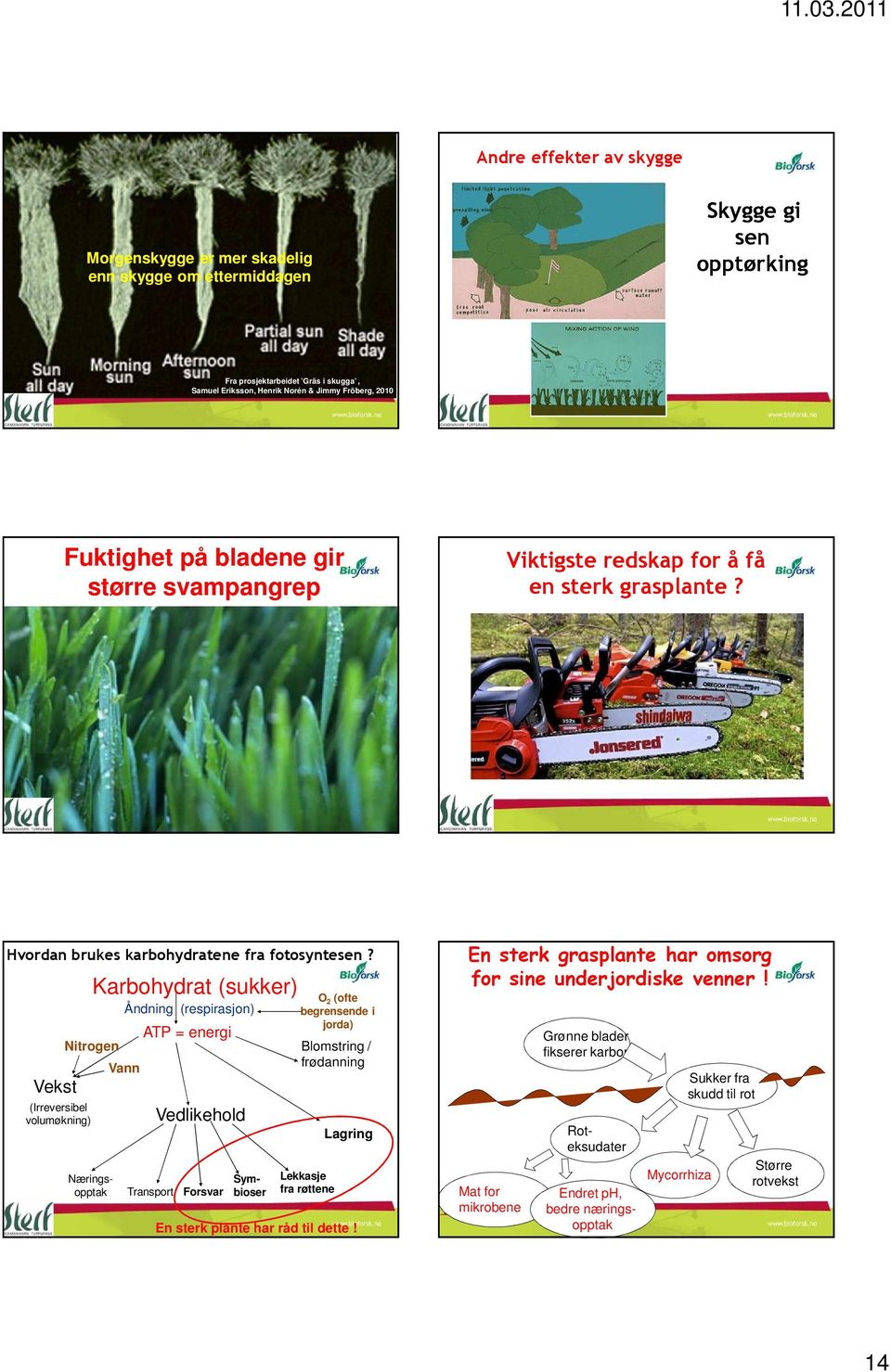 Vekst Nitrogen (Irreversibel volumøkning) Karbohydrat (sukker) Vann Åndning (respirasjon) ATP = energi Transport Vedlikehold Forsvar O 2 (ofte begrensende i jorda) Blomstring / frødanning Lekkasje