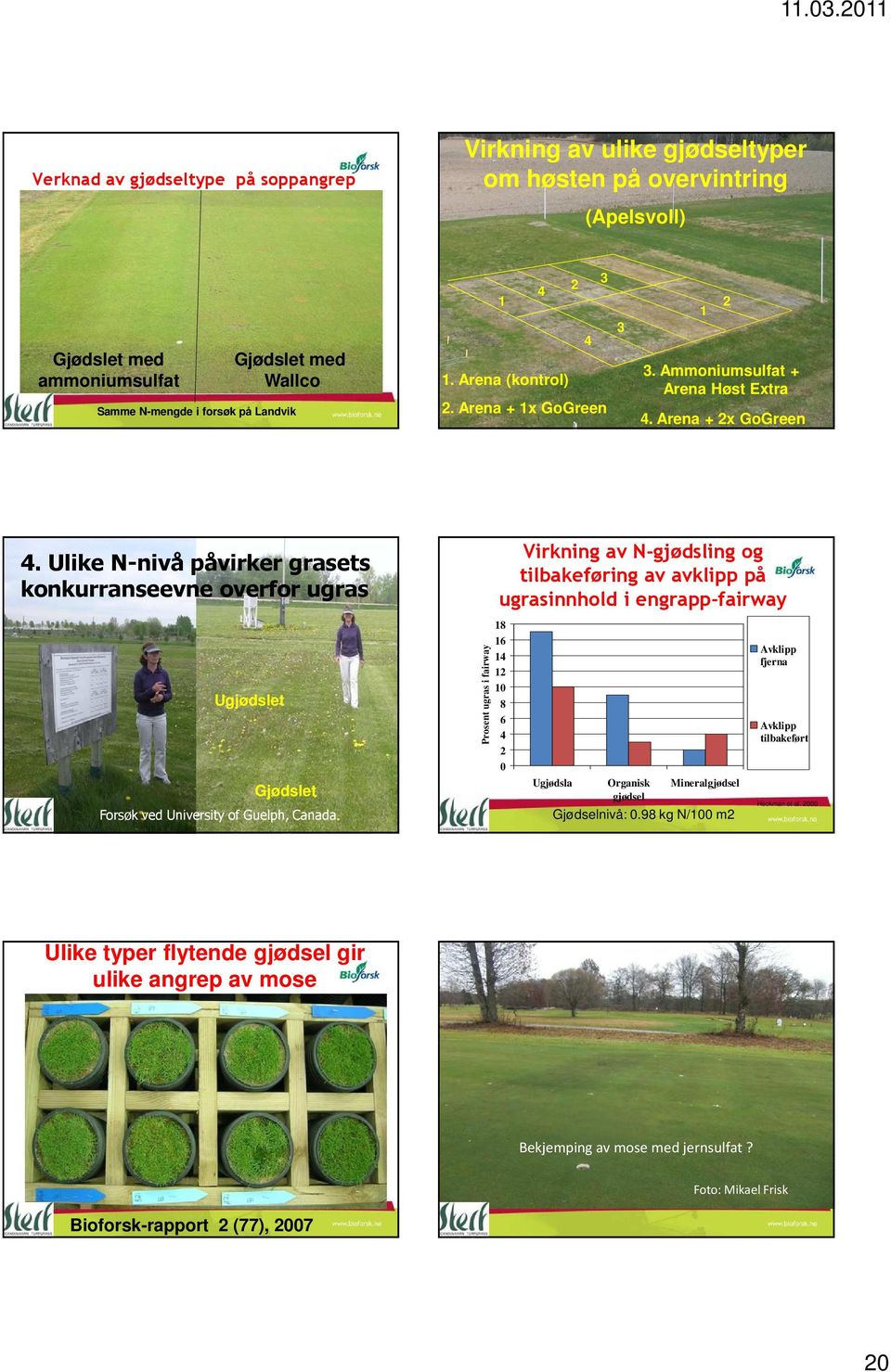 Ulike N-nivå påvirker grasets konkurranseevne overfor ugras Virkning av N-gjødsling og tilbakeføring av avklipp på ugrasinnhold i engrapp-fairway Ugjødslet Prosent ugras i fairway 18 16 14 12 1 8 6 4