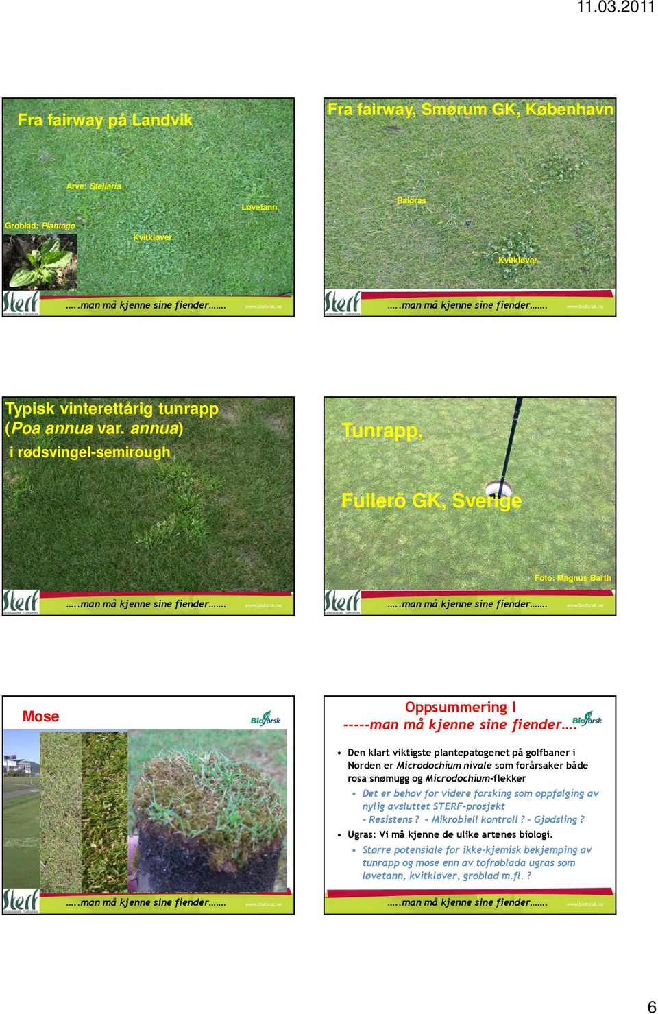 Den klart viktigste plantepatogenet på golfbaner i Norden er Microdochium nivale som forårsaker både rosa snømugg og Microdochium-flekker Det er behov for videre forsking som oppfølging