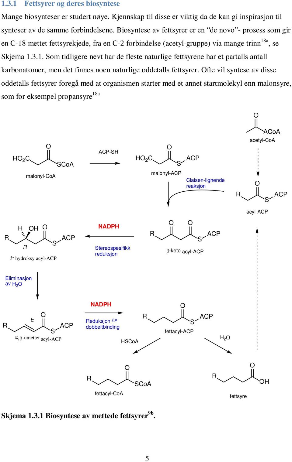 mettet fettsyrekjede, fra en C-2 forbindelse (acetyl-gruppe) via mange trinn 18