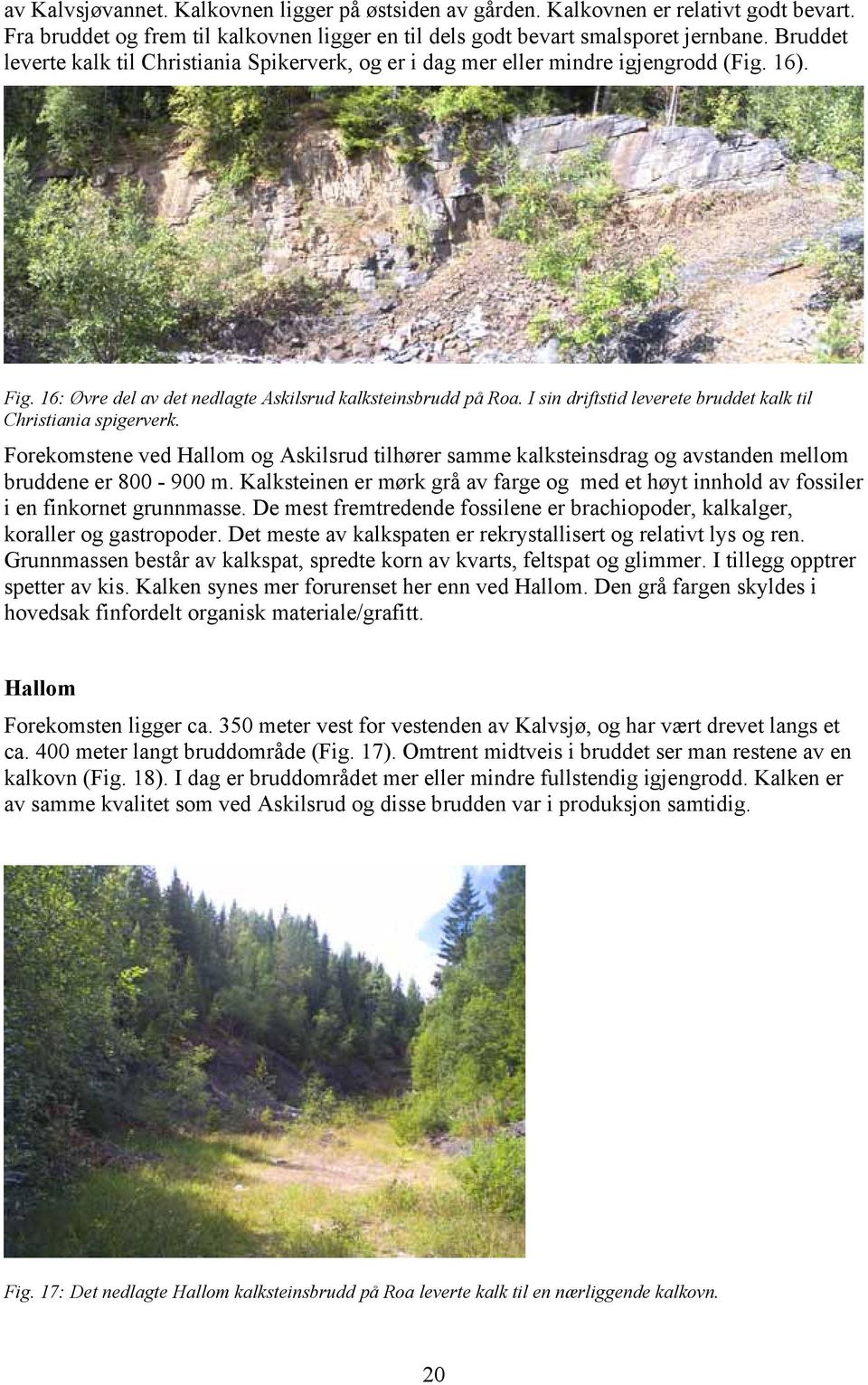 I sin driftstid leverete bruddet kalk til Christiania spigerverk. Forekomstene ved Hallom og Askilsrud tilhører samme kalksteinsdrag og avstanden mellom bruddene er 800-900 m.