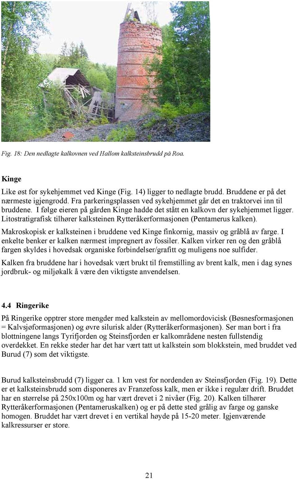 Litostratigrafisk tilhører kalksteinen Rytteråkerformasjonen (Pentamerus kalken). Makroskopisk er kalksteinen i bruddene ved Kinge finkornig, massiv og gråblå av farge.