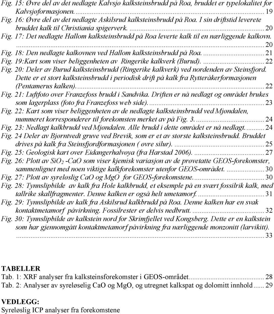 ... 21 Fig. 19:Kart som viser beliggenheten av Ringerike kalkverk (Burud).... 22 Fig. 20: Deler av Burud kalksteinsbrudd (Ringerike kalkverk) ved nordenden av Steinsfjord.