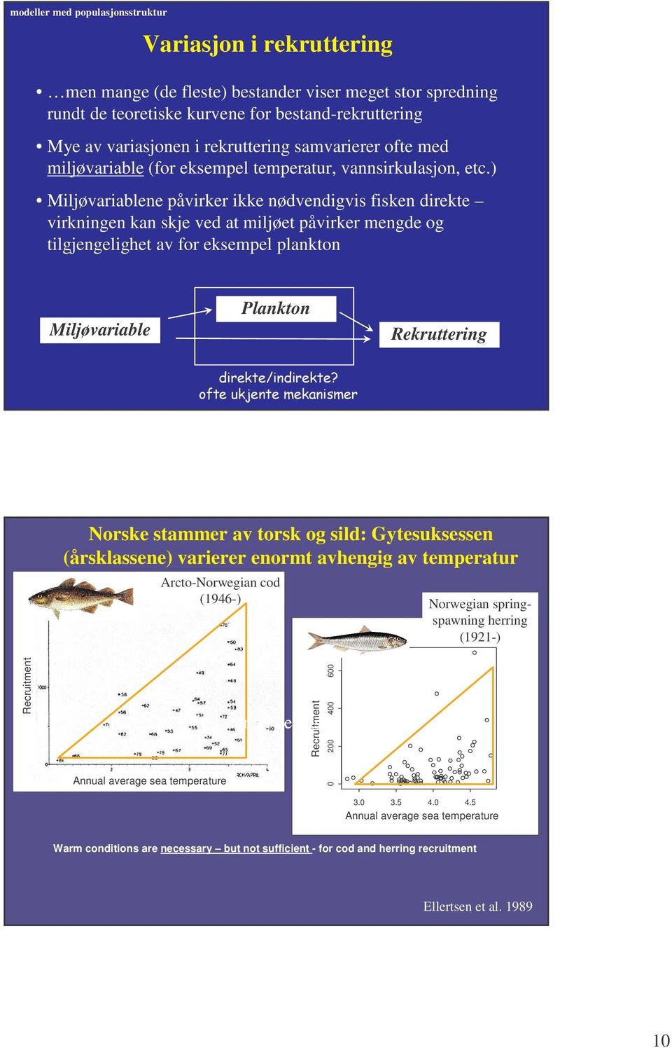 ) Miljøvariablene påvirker ikke nødvendigvis fisken direkte virkningen kan skje ved at miljøet påvirker mengde og tilgjengelighet av for eksempel plankton Miljøvariable Plankton Rekruttering 3 4