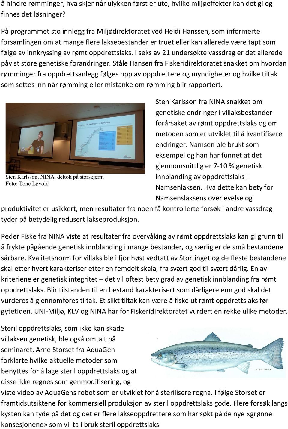 oppdrettslaks. I seks av 21 undersøkte vassdrag er det allerede påvist store genetiske forandringer.