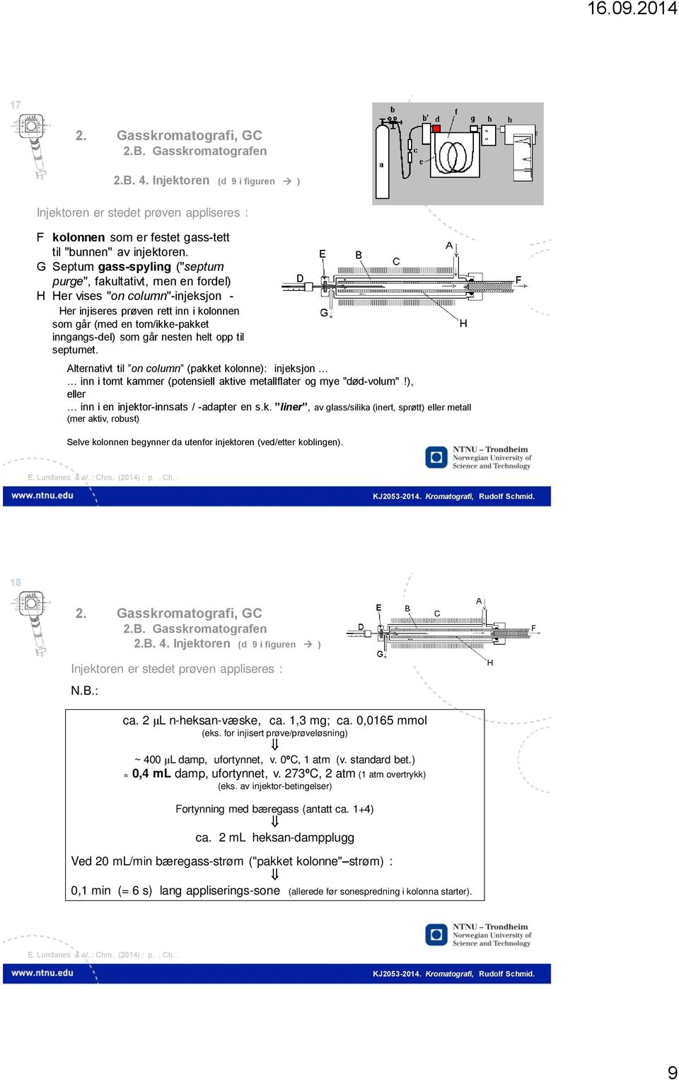 nesten helt opp til septumet. Alternativt til on column (pakket kolonne): injeksjon inn i tomt kammer (potensiell aktive metallflater og mye "død-volum"!