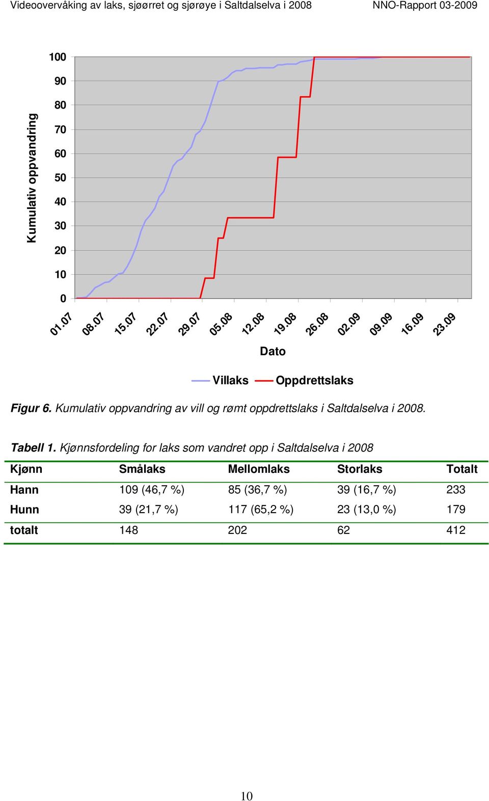 Kumulativ oppvandring av vill og rømt oppdrettslaks i Saltdalselva i 2008. Tabell 1.