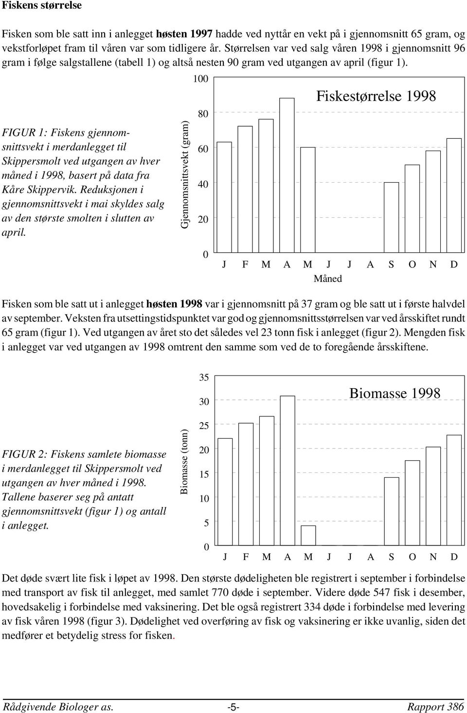 FIGUR 1: Fiskens gjennomsnittsvekt i merdanlegget til Skippersmolt ved utgangen av hver måned i 1998, basert på data fra Kåre Skippervik.