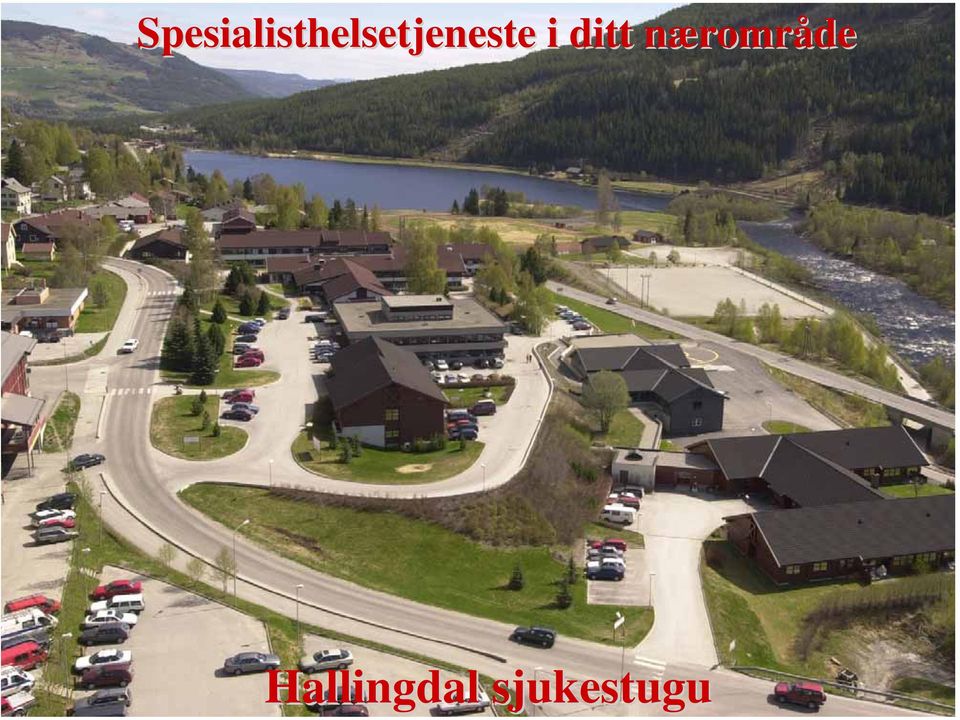 Hallingdal sjukestugu