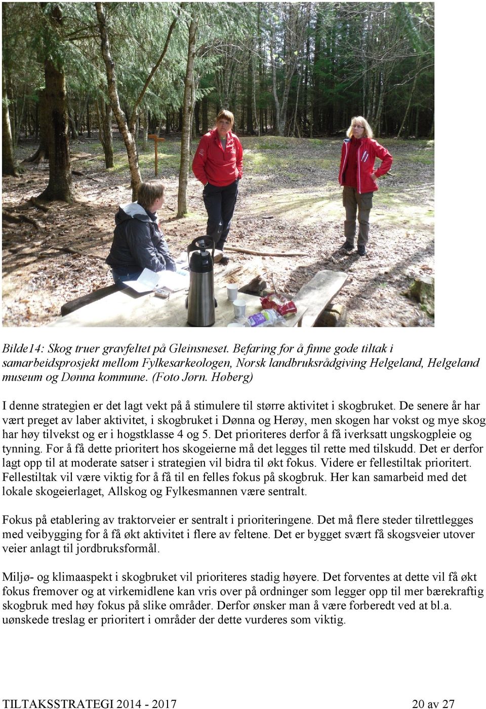De senere år har vært preget av laber aktivitet, i skogbruket i Dønna og Herøy, men skogen har vokst og mye skog har høy tilvekst og er i hogstklasse 4 og 5.